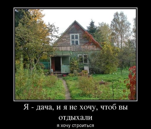 Веселые животные на даче