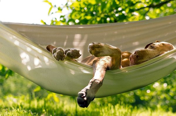 Приколы про огород картинки