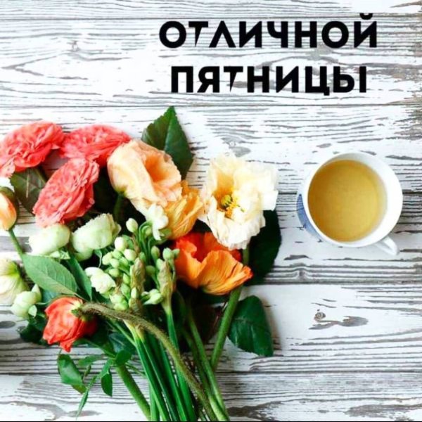 Доброго солнечного утра и чудесного дня