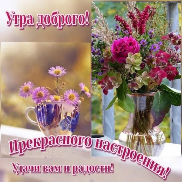 Доброго летнего утра и хорошего дня