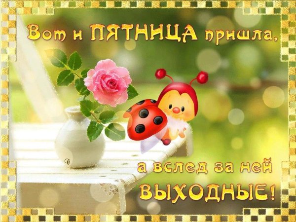Доброе летнее утро пятницы
