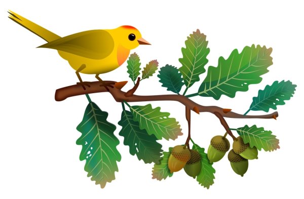 Ветка для детей