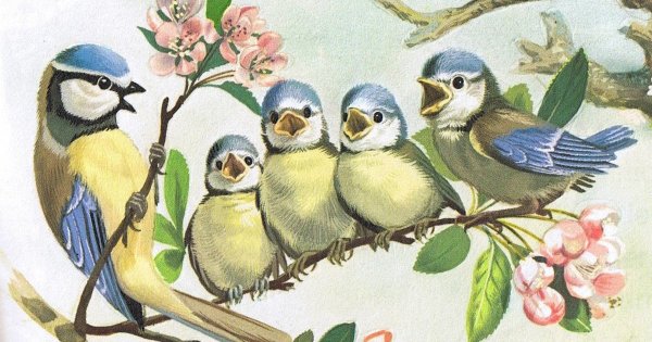 Птички на веточках для детей