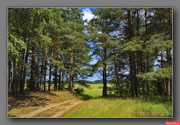 Сосновый Бор Балаково Подсосенки