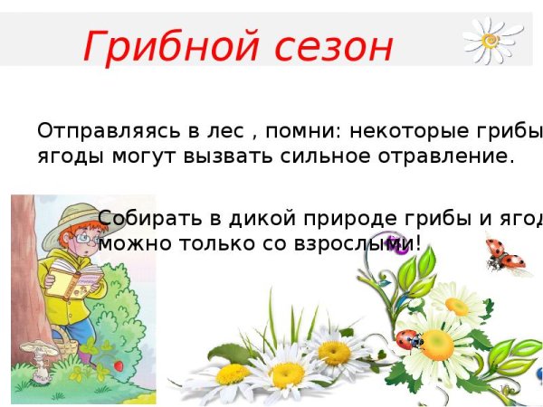 Презентациябезопаснле. Лето