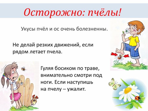 Безопасное лето презентация