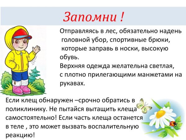 Безопасность летом