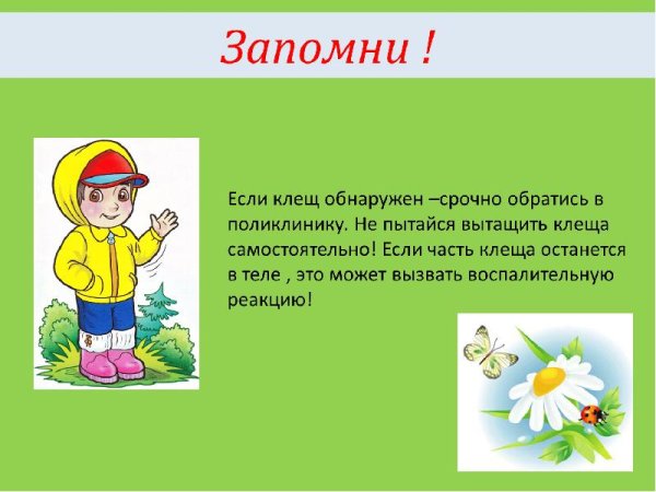 Мое безопасное лето презентация 4 класс