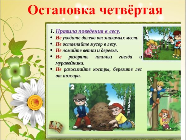 Безопасность летом презентация