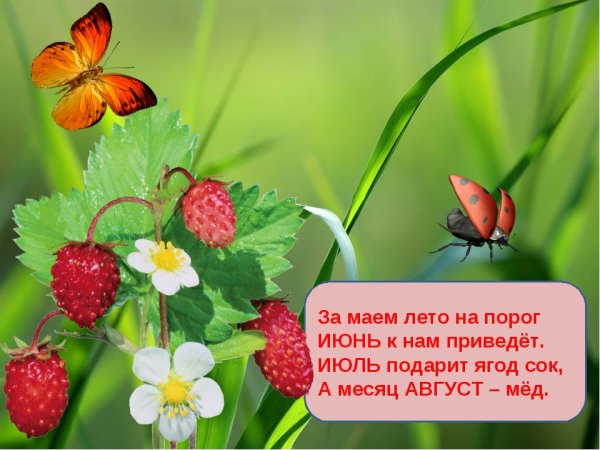 Летние месяцы