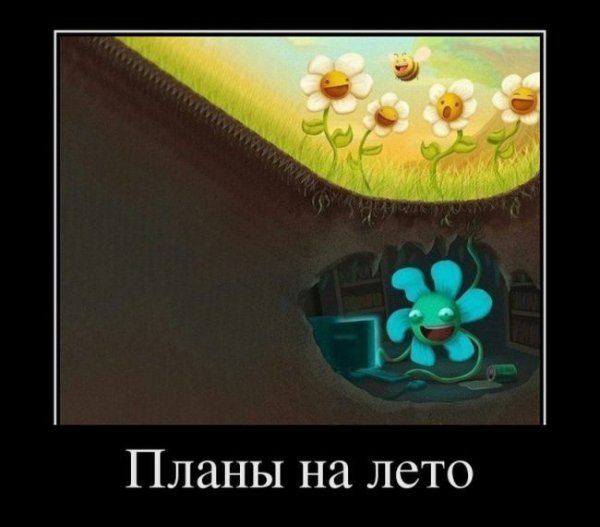 Планы на лето прикол