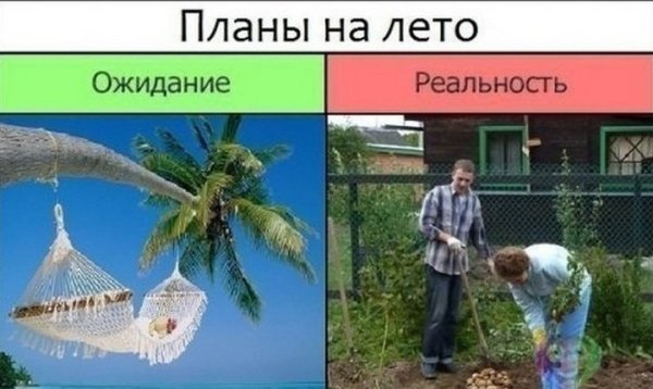Лето ожидание реальность