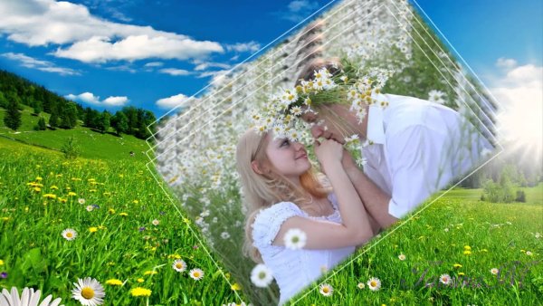 Цветы и солнце