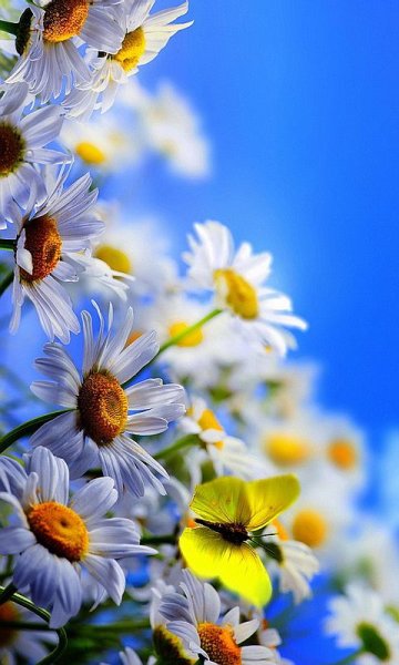 Фотообои вертикальные природа