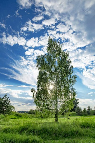 Обои на телефон море