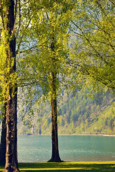 Лето море пляж