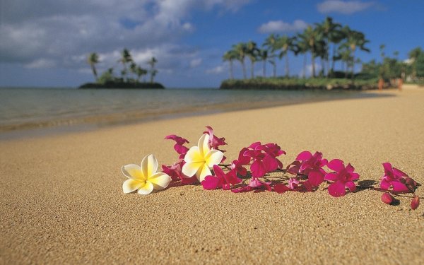 Природа ягоды