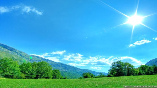 Фрукты клубника