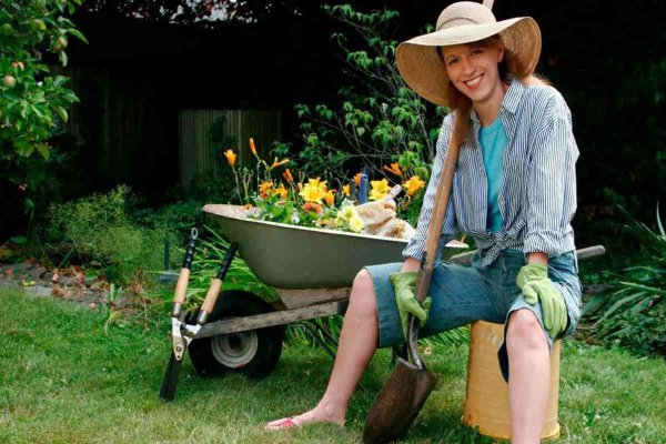 Дачницы на даче