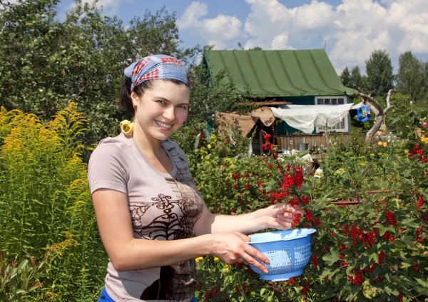 Женщина на даче