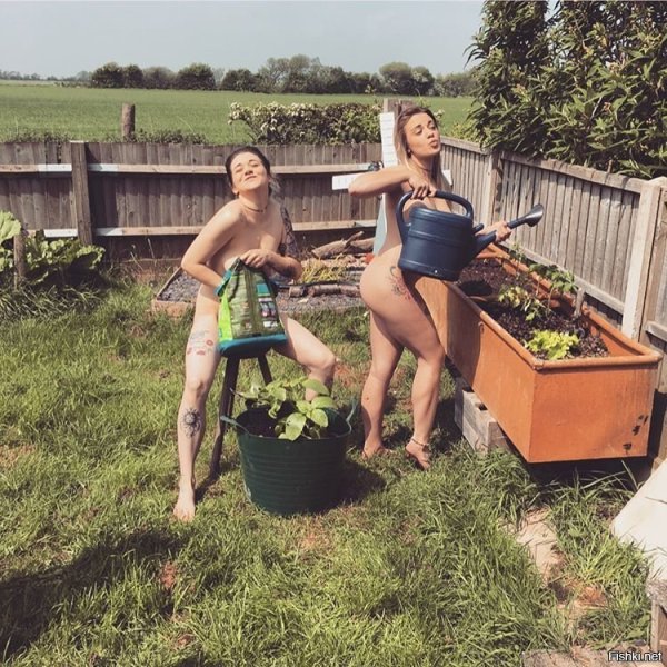 Девчонки на даче