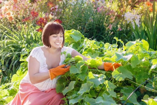 Сад дача Анна Акинина