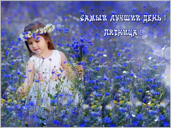 Доброго пятничного летнего дня .