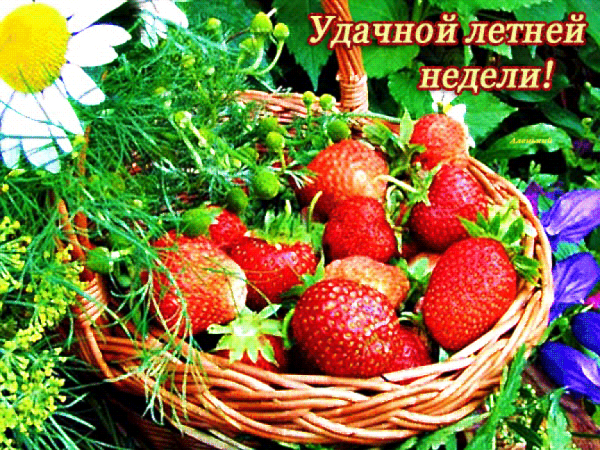 Летнего настроения пожелания