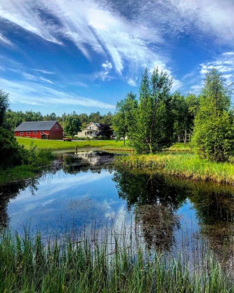 Пейзаж лето