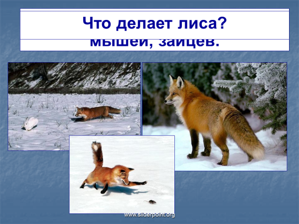 Делаем леса