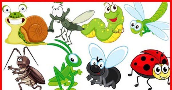 Мир насекомых для детей