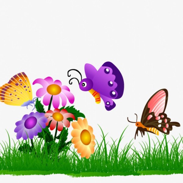 Бабочки и Стрекозы