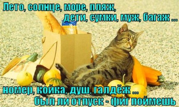 Отличного первого рабочего дня