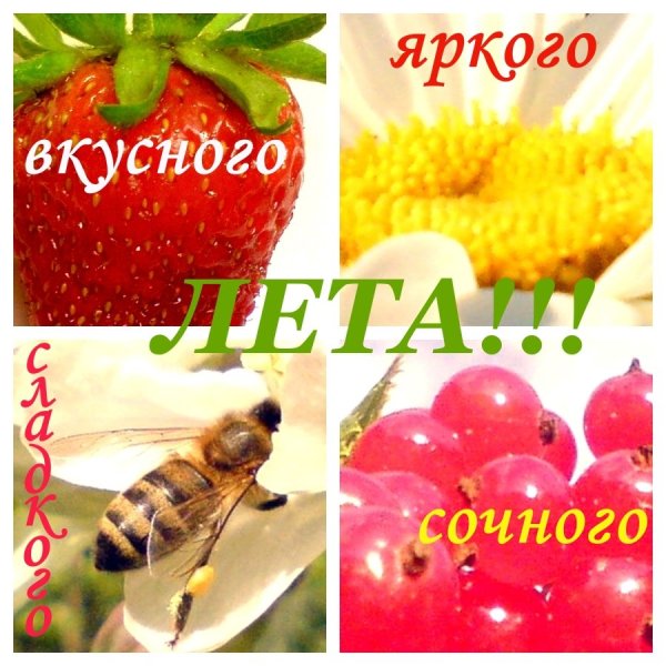 Надпись вкусное лето