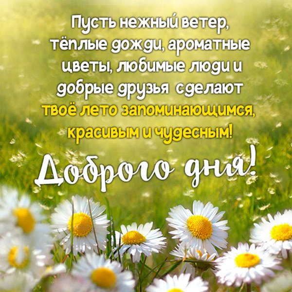 Прекрасного летнего дня