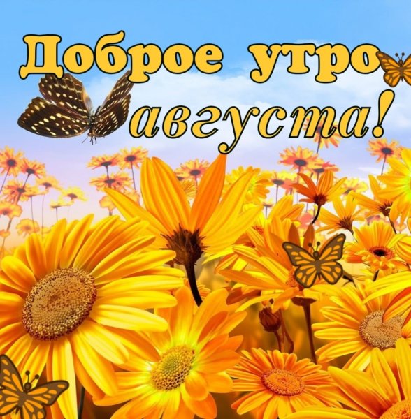 Картинки с добрым утром летние