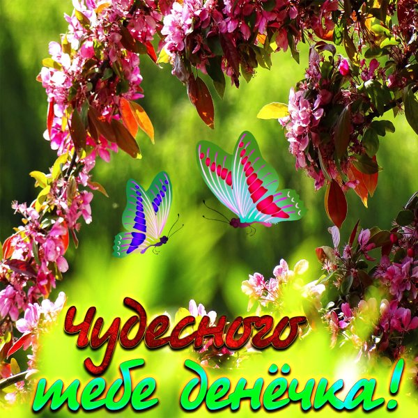 Поздравление с летним днем