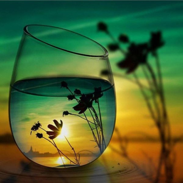 Красота в бокале