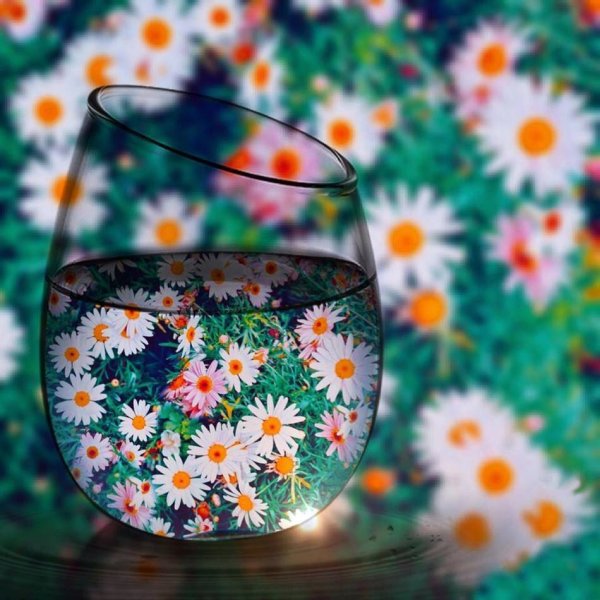 Лето в бокале