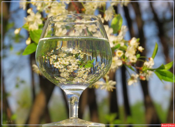Весна в бокале