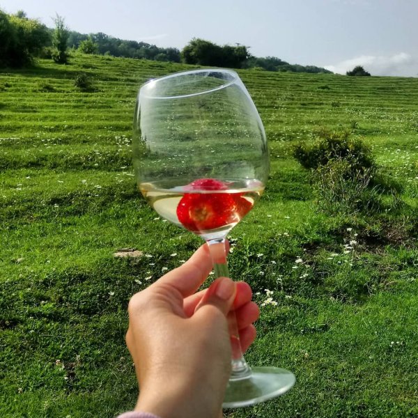 Лето в бокале