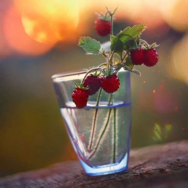 Август последний густой бокал лета