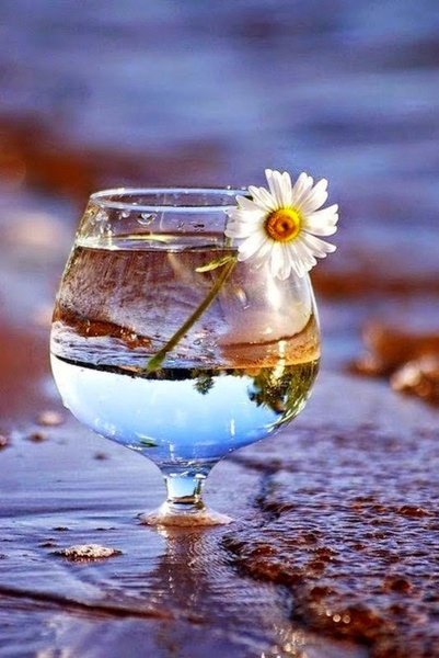 Лето в бокале