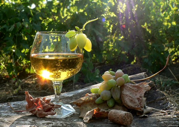 Бокал вина на природе