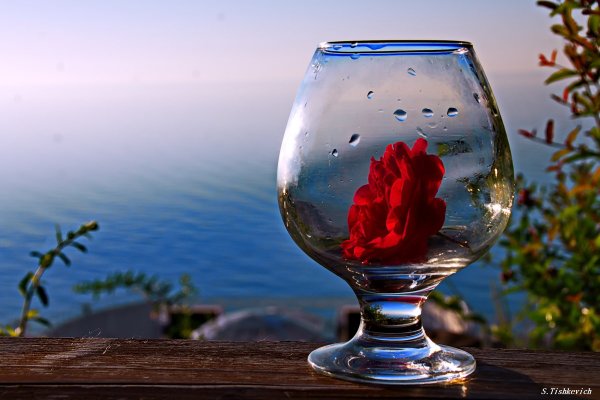 Лето в бокале