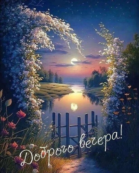 Свет Луны