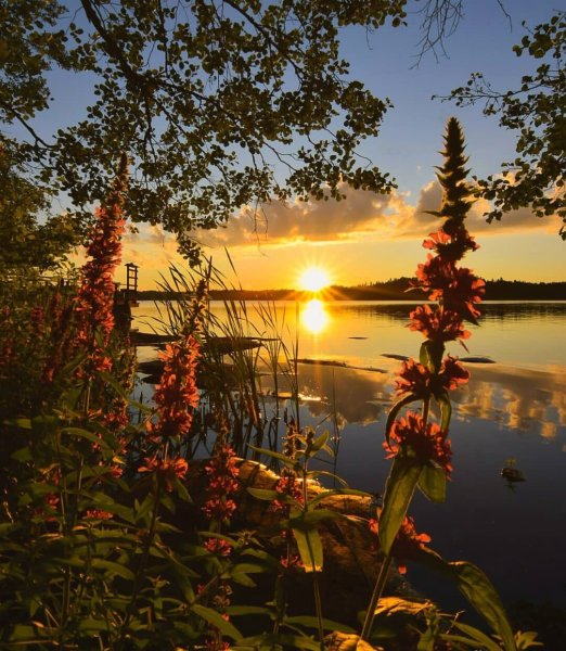 Природа летом рассвет