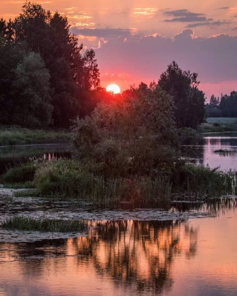 Добрый вечер природа