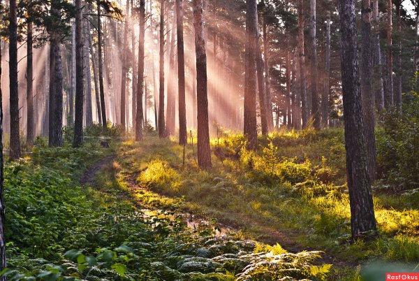 Лето река солнце