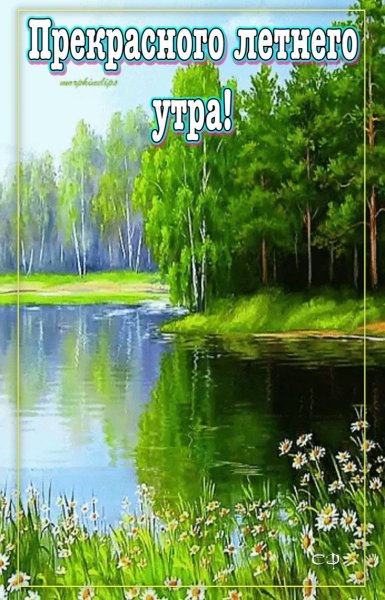 Утро в лесу